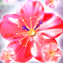 ume* LiveWallpepar APK