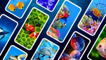 Underwater Wallpapers PRO 海報