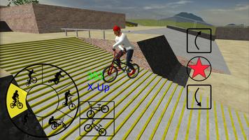 Poster BMX Freestyle Extreme 3D