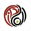 Cityroll | Днепропетровск APK