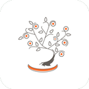APK Osava | Одесса