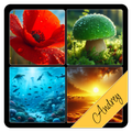 4 Pics 1 Word - Guess the Word