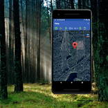 FMap - Карта лісів України