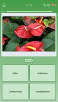 Quiz: Flowers, Plants الملصق