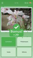 Quiz: Flowers, Plants تصوير الشاشة 1