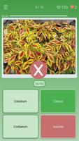 Quiz: Flores, Plantas captura de pantalla 2
