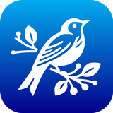 Sonata Messenger APK