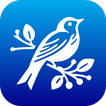 Sonata Messenger icon