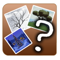GuessWord (4 pics 1 word)