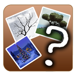 GuessWord (4 pics 1 word)