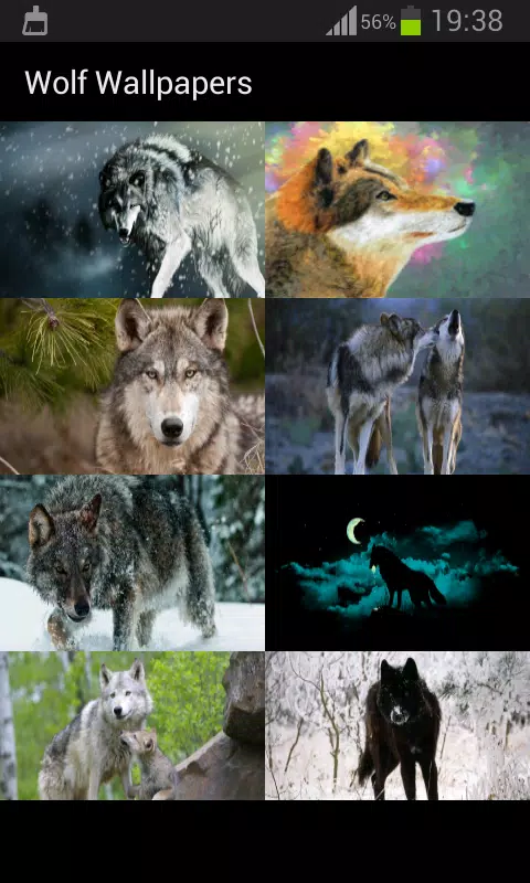 下载狼壁纸的安卓版本