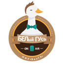 APK Радио Белый ГУсь