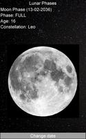 Lunar Phases Affiche