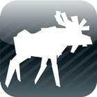 Moose Survey icon
