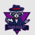 UBERNET VPN أيقونة