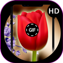 Nice Flowers Images GIF APK
