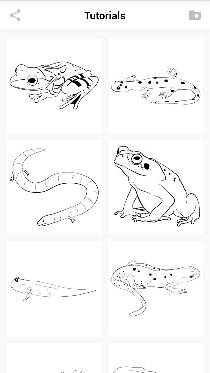 How to draw animals - amphibians for Android - APK Download