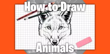 動物、捕食者、草食動物、魚を段階的に描く方法. 描画レッスン