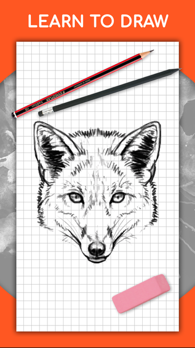 How to draw animals. Step by step drawing lessons poster