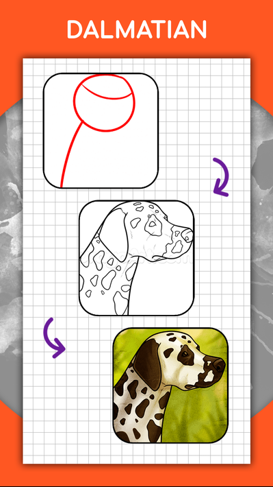 How to draw animals. Step by step drawing lessons screenshot 4