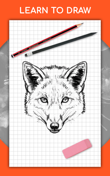 How to draw animals. Step by step drawing lessons screenshot 16