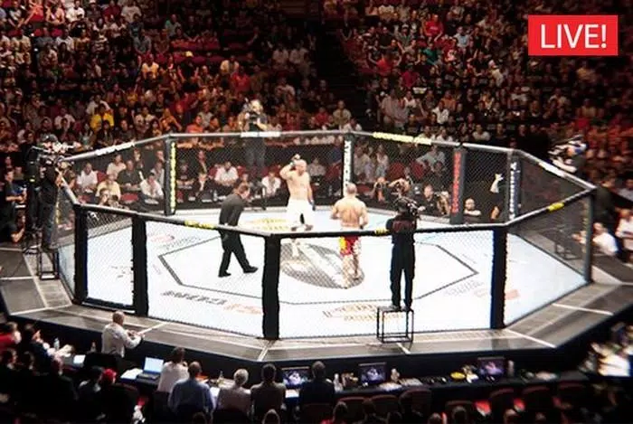 Watch UFC 247 Live Streaming For FREE APK for Android Download