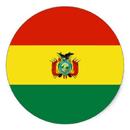 Chat Bolivia APK