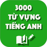 3000 từ vựng Tiếng Anh thông dụng иконка