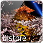 Android 用の 夜桜 ライブ壁紙 Free Apk をダウンロード