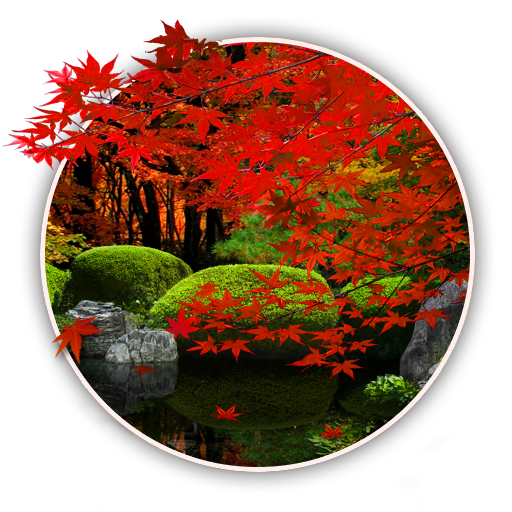 Zen Garden Fall Lw Apk 2 4安卓下載 下載zen Garden Fall Lw Apk最新版本 Apkfab Com