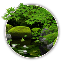 Zen Garden -Summer- LW APK