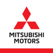 Mitsubishi Cosmetic Repair