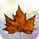 Canada Citizenship: Test APK