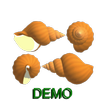 3D Virtual SeaShell Demo