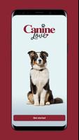 Canine Love Affiche