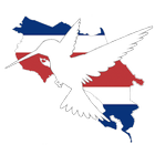 Birds of Costa Rica icon