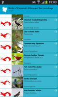 Birds of Panama's Cities 스크린샷 1