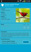 برنامه‌نما Birds of Panama's Cities عکس از صفحه