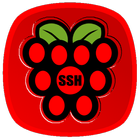 آیکون‌ Raspberry SSH Custom Buttons