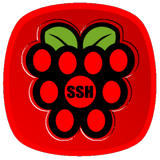 Raspberry SSH Custom Buttons