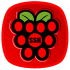 Raspberry SSH Custom Buttons ikon