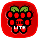 Raspberry SSH & WOL Buttons APK
