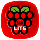 Raspberry SSH & WOL Buttons icon