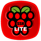 Raspberry SSH & WOL Buttons 图标