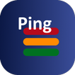 Ping Monitor Pro