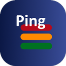 APK Ping Monitor Pro