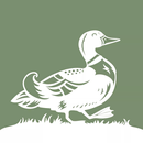 Country Living UK APK