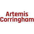 Artemis Pizza أيقونة