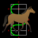 Dressage Pro for horse riders APK