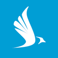 Birdy